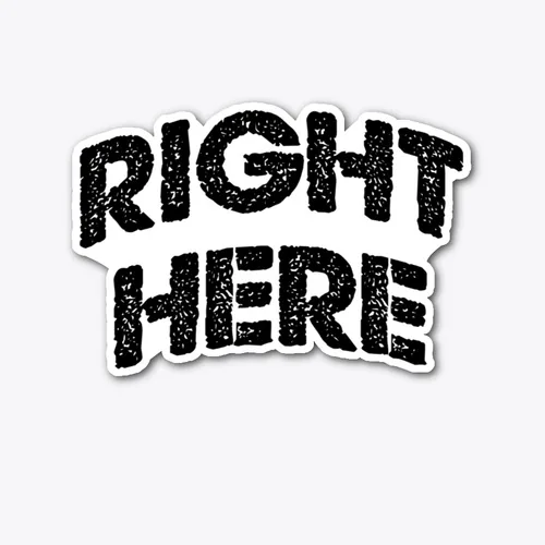 WHAT'S YOUR NAME IT'S RIGHT HERE OFFICER — Chuck Bronson merch design
